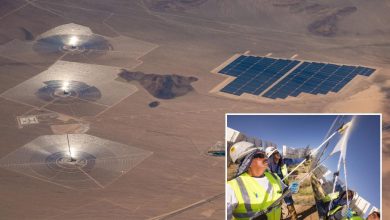 محمود محمد كمال الفرارجي