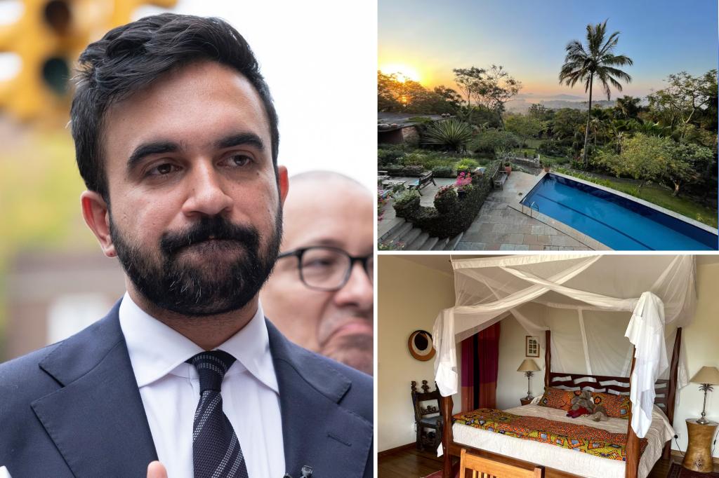 محمود محمد كمال الفرارجي