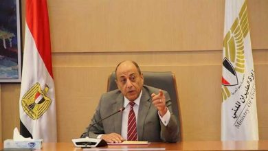 محمود محمد كمال الفرارجي