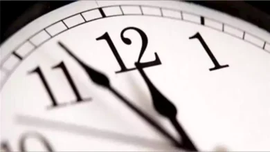 محمود محمد كمال الفرارجي