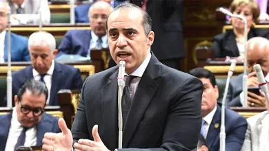 محمود محمد كمال الفرارجي