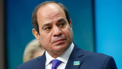 محمود محمد كمال الفرارجي