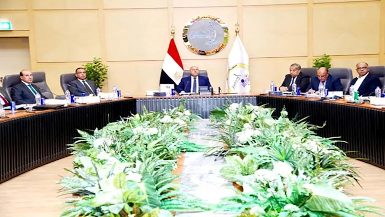 محمود محمد كمال الفرارجي