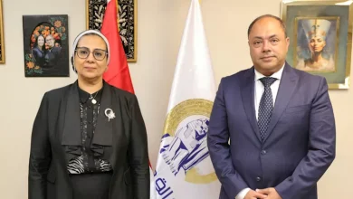 محمود محمد كمال الفرارجي