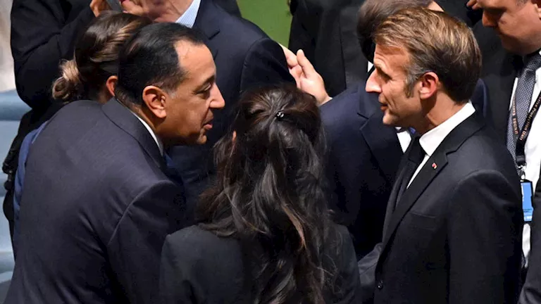 محمود محمد كمال الفرارجي