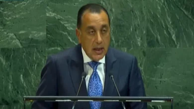 محمود محمد كمال الفرارجي