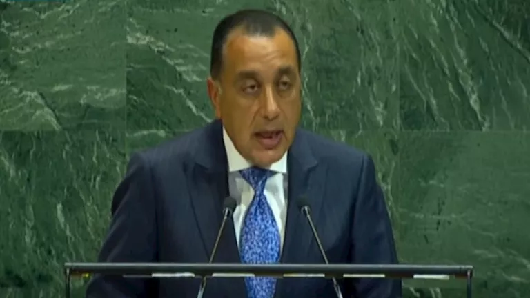 محمود محمد كمال الفرارجي