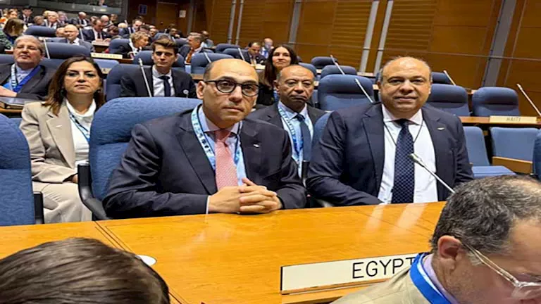 محمود محمد كمال الفرارجي