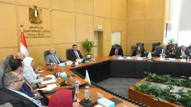 محمود محمد كمال الفرارجي