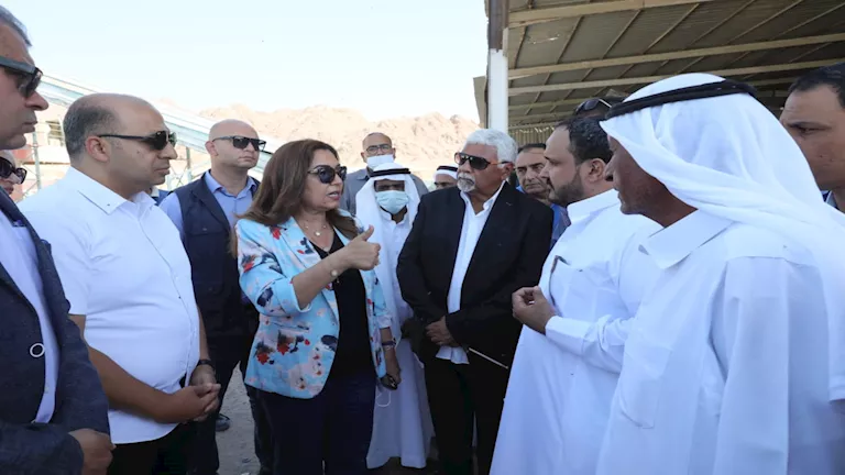 محمود محمد كمال الفرارجي