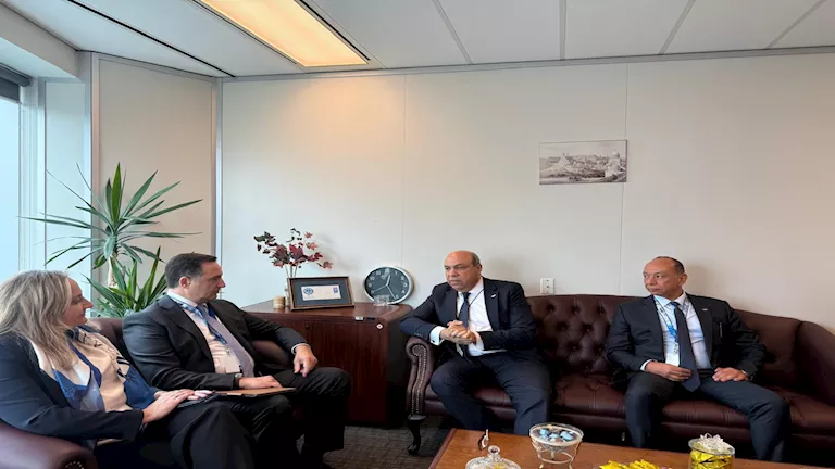 محمود محمد كمال الفرارجي