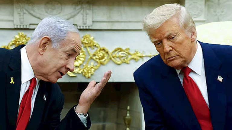 محمود محمد كمال الفرارجي