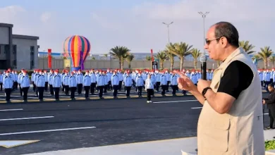 محمود محمد كمال الفرارجي