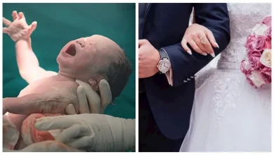 محمود محمد كمال الفرارجي