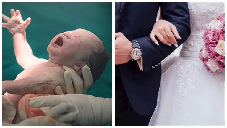 محمود محمد كمال الفرارجي