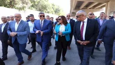 محمود محمد كمال الفرارجي