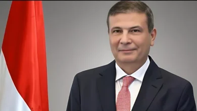 محمود محمد كمال الفرارجي