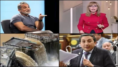 محمود محمد كمال الفرارجي