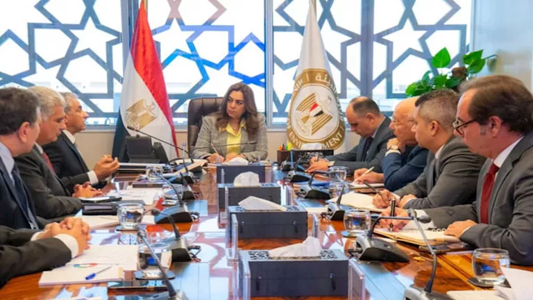 محمود محمد كمال الفرارجي