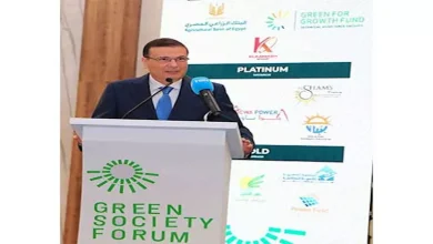 محمود محمد كمال الفرارجي