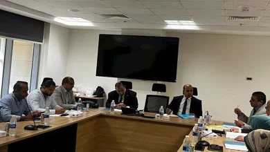 محمود محمد كمال الفرارجي