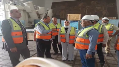 محمود محمد كمال الفرارجي