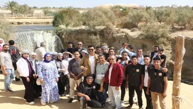 محمود محمد كمال الفرارجي