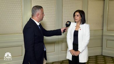 محمود محمد كمال الفرارجي