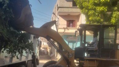 محمود محمد كمال الفرارجي