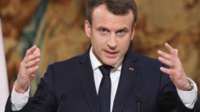 محمود محمد كمال الفرارجي