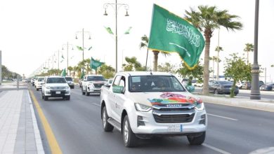 محمود محمد كمال الفرارجي