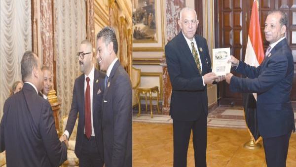 محمود محمد كمال الفرارجي