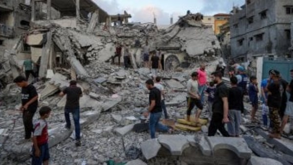 محمود محمد كمال الفرارجي