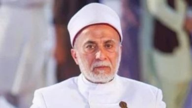 محمود محمد كمال الفرارجي