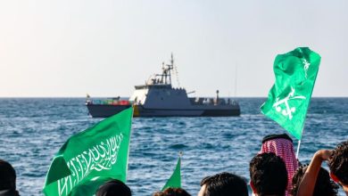 محمود محمد كمال الفرارجي