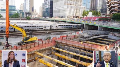 محمود محمد كمال الفرارجي