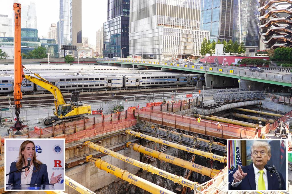 محمود محمد كمال الفرارجي