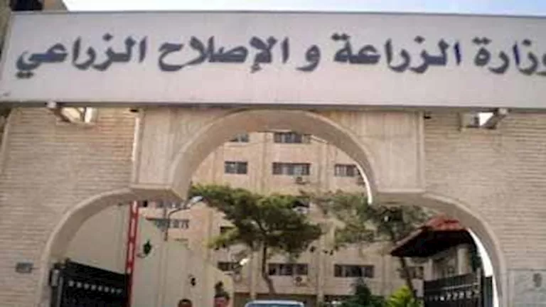 محمود محمد كمال الفرارجي