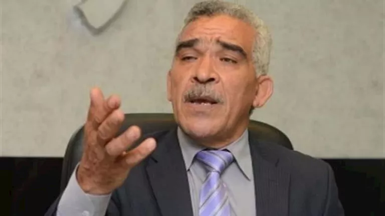 محمود محمد كمال الفرارجي