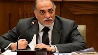 محمود محمد كمال الفرارجي