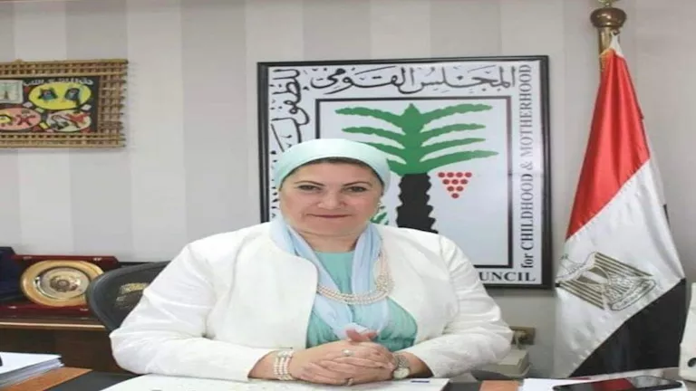 محمود محمد كمال الفرارجي