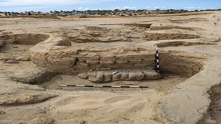 محمود محمد كمال الفرارجي