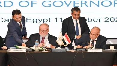 محمود محمد كمال الفرارجي