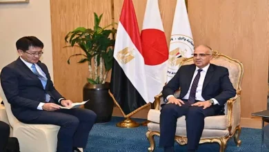 محمود محمد كمال الفرارجي