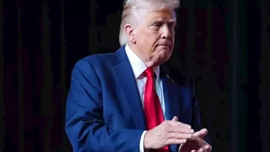 محمود محمد كمال الفرارجي