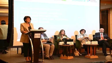 محمود محمد كمال الفرارجي