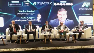 محمود محمد كمال الفرارجي