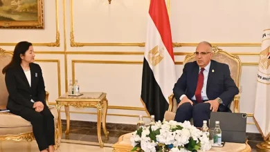 محمود محمد كمال الفرارجي