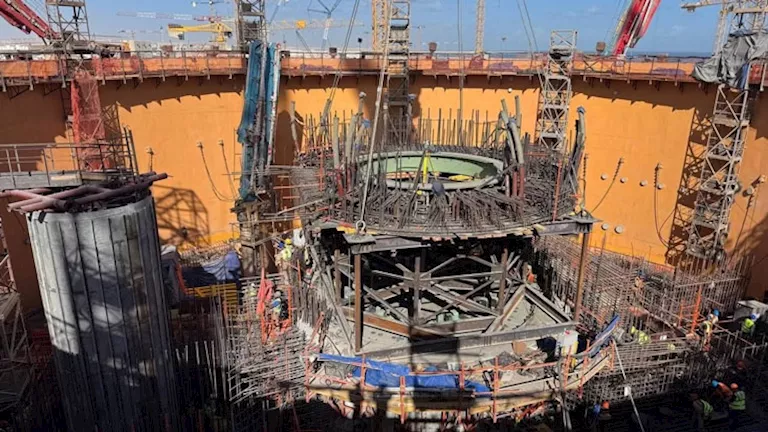 محمود محمد كمال الفرارجي