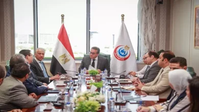 محمود محمد كمال الفرارجي